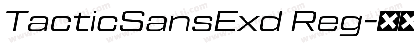 TacticSansExd Reg字体转换